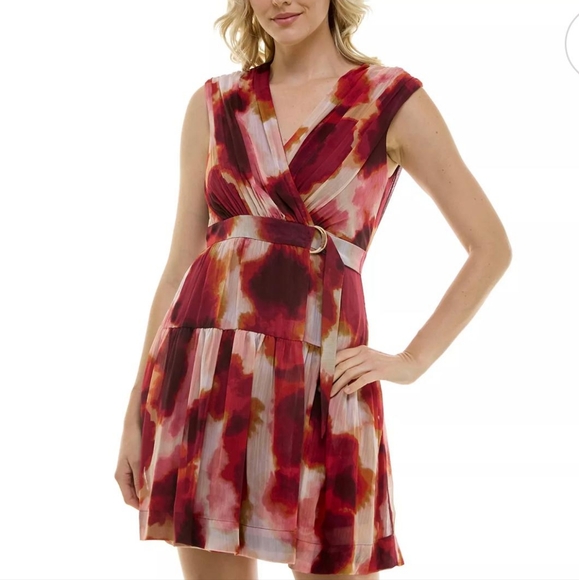 Taylor Vibrant Red and Pink Mini Dress - Picture 1 of 11